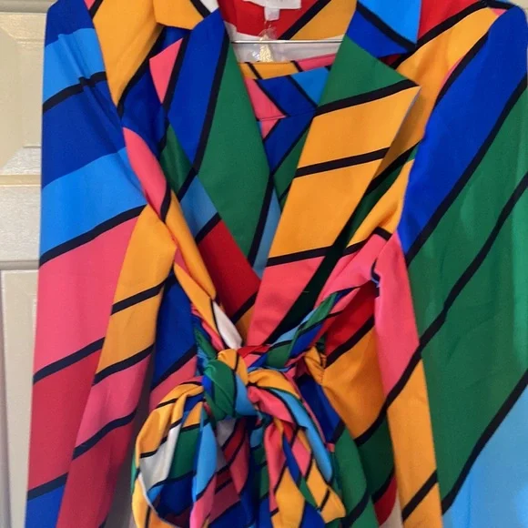 L’ATISTE In Living Color Suit - Picture 5 of 8